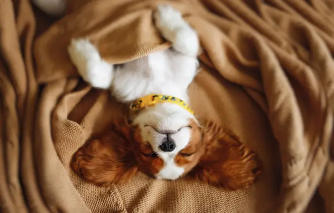あなたのその資格、もしかしたら眠っていませんか?